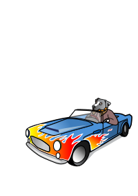 Dog in Sports Car