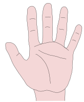 hand