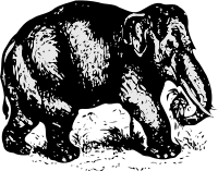 elephant