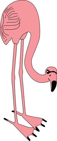 flamingo