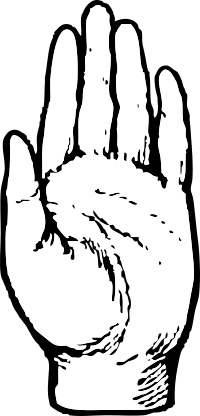 left hand