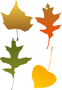 Autumn Leaf selection