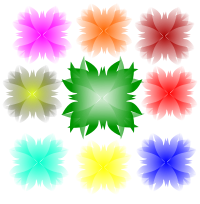 ColorFull Flower
