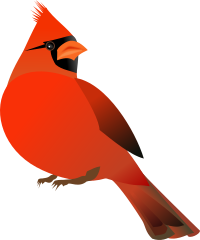Red Cardinal
