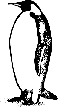 penguin