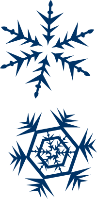 snow flakes