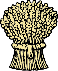 sheaf