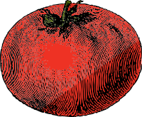 tomato