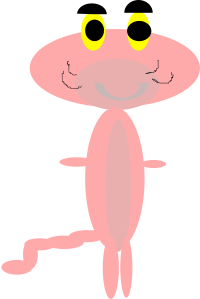 pink panthar