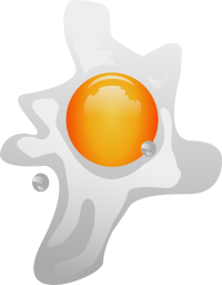 Fried Egg