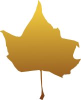 maple leaf