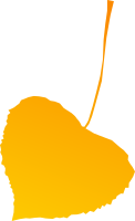 Autumn leaf yellow
