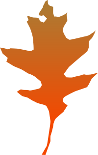leaf oak