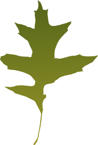 leaf oak green