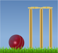 cricket illustration