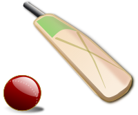 Cricket ball and bat