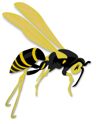 Flying wasp