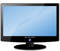 LCD Widescreen Monitor