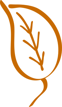 Old leaf
