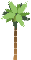 Palm Tree