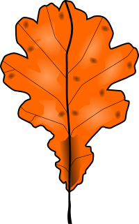 Fall2010-1