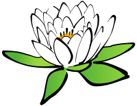 Lotus flower