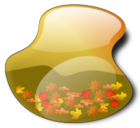 FALL 2010 LANDSCAPE 4