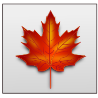 maple leaf