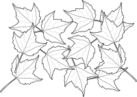 Fall2010-13