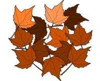Fall2010-14