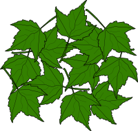 Fall2010-15