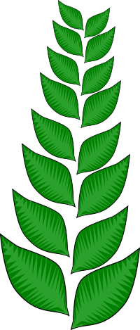 Fall2010-17