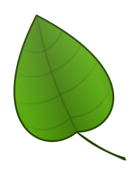 Leaf