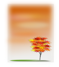 autumn
