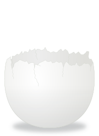Cracked Egg