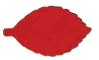M Leaf 04