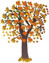 Maple autumn
