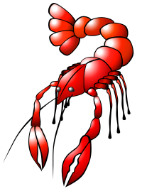 Crawfish