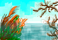 composition-color2