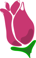Happy rose