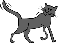 Cartoon Cat