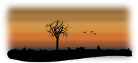 fall silhouette