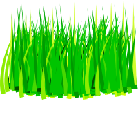 grass