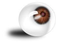 Eyeball brown