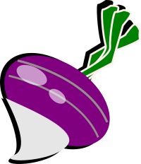 turnip