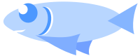 Ordinary fish