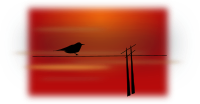 bird on wire