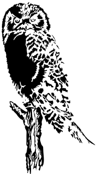 Owl (Stylized)