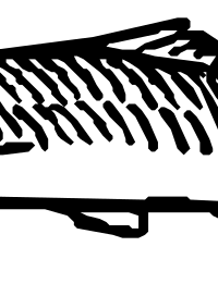 Fish 3