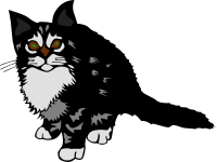 Kitten (Black)